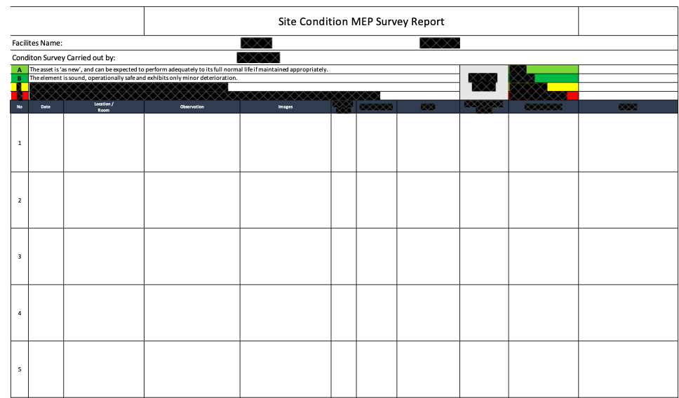 Building MEP Site Asset Condition Survey Report